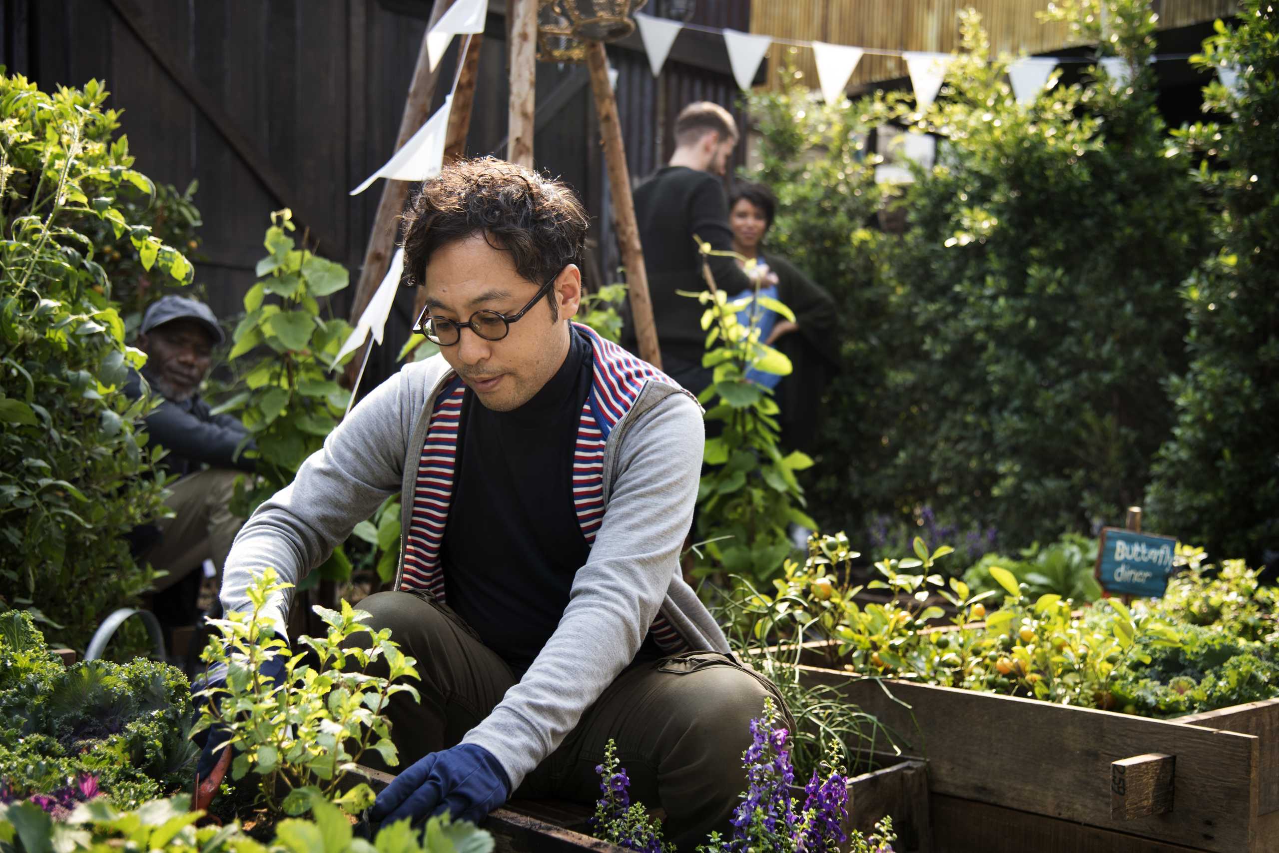 Creative Landscaping Ideas to Transform Your Garden